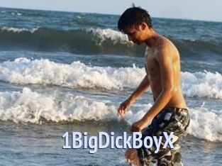 1BigDickBoyX