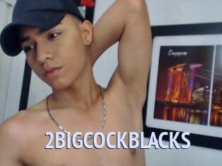 2BIGCOCKBLACKS