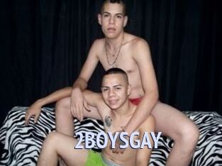 2BOYS_GAY
