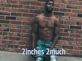2inches_2much