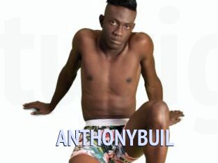 ANTHONYBUIL