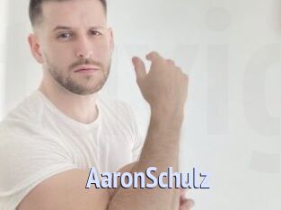 AaronSchulz