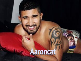 Aaroncat