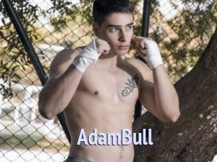 AdamBull