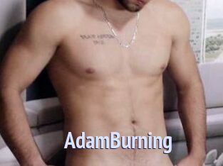 AdamBurning