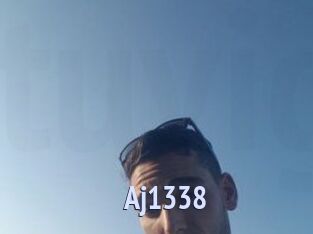 Aj1338