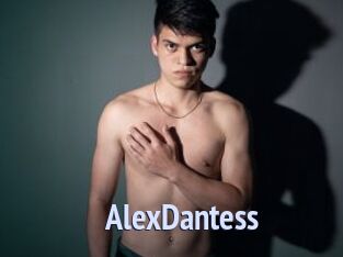 AlexDantess