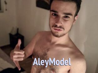 AleyModel