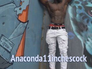Anaconda11inchescock