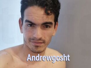 Andrewgosht