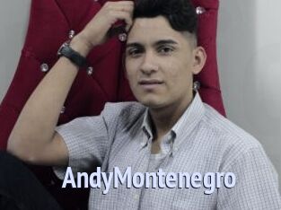 AndyMontenegro