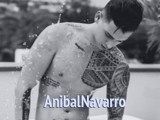 AnibalNavarro