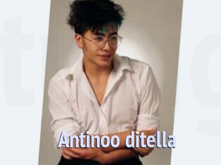 Antinoo_ditella