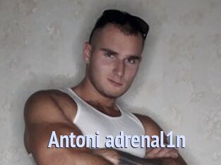 Antoni_adrenal1n