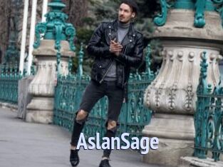 AslanSage Tube video gay