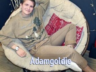 adamgoldie Tube video gay