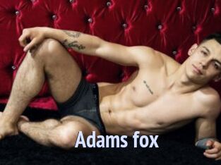 Adams_fox
