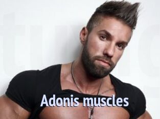 Adonis_muscles