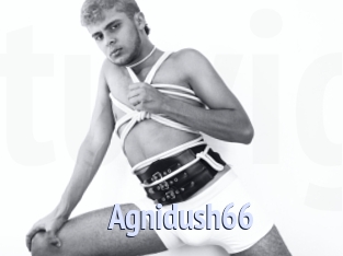 Agnidush66