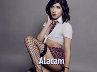 Alacam