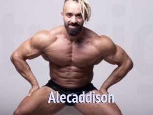 Alecaddison