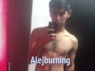 Alejburning