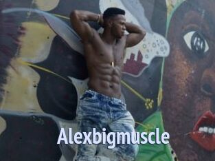 Alexbigmuscle