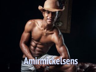 Amirmickelsens