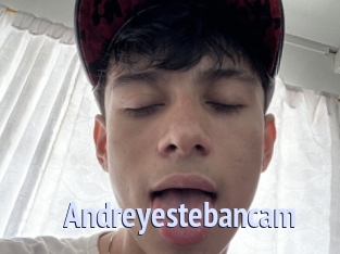 Andreyestebancam