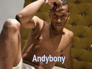 Andybony