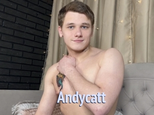 Andycatt