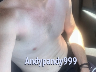 Andypandy999