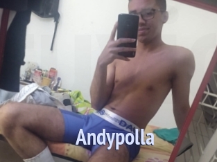 Andypolla
