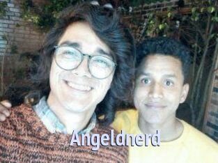 Angeldnerd
