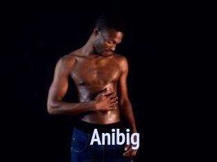 Anibig