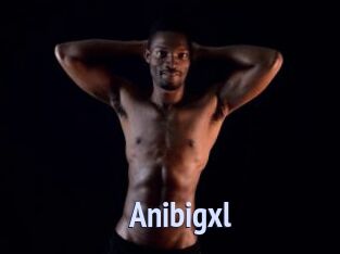 Anibigxl
