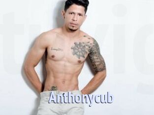 Anthonycub
