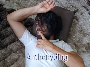 anthonyding Tube video gay