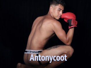 Antonycoot