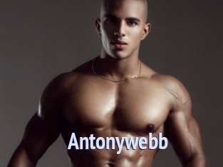 Antonywebb