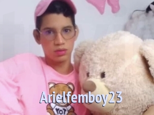 Arielfemboy23