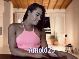 arnold23 Tube video gay