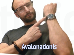 Avalonadonis