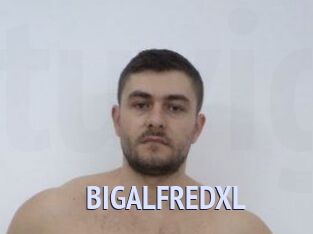BIGALFREDXL