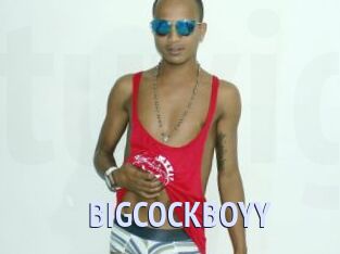 BIGCOCKBOYY
