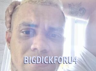 BIGDICKFORU4