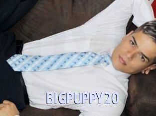 BIGPUPPY20