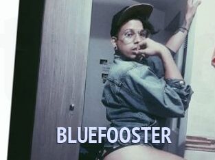 BLUEFOOSTER