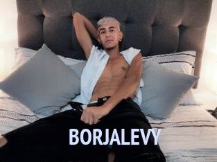 BORJALEVY