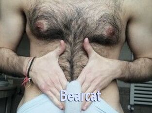 Bearcat